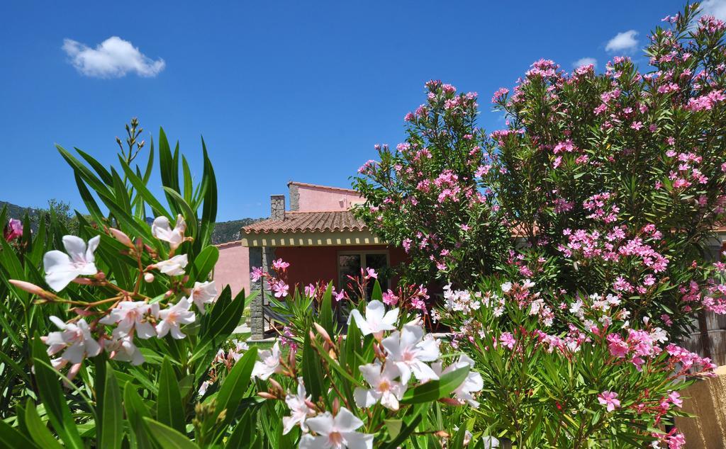 Affittacamere B&B La Villa Dei Graniti Villasimius Exteriör bild