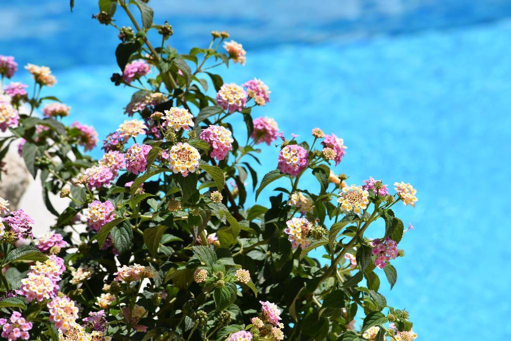 Affittacamere B&B La Villa Dei Graniti Villasimius Exteriör bild